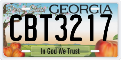 GA license plate CBT3217