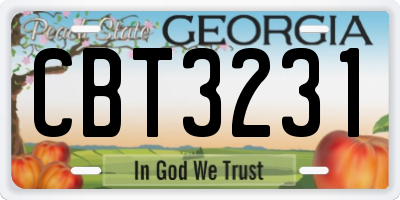 GA license plate CBT3231