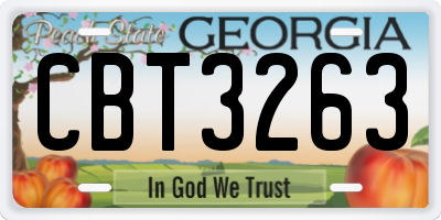 GA license plate CBT3263