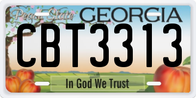 GA license plate CBT3313