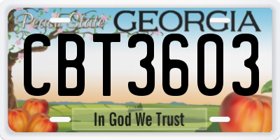 GA license plate CBT3603