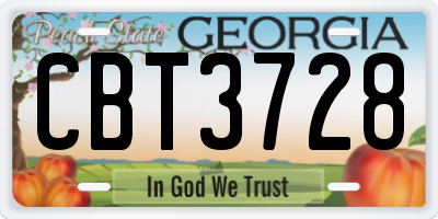 GA license plate CBT3728
