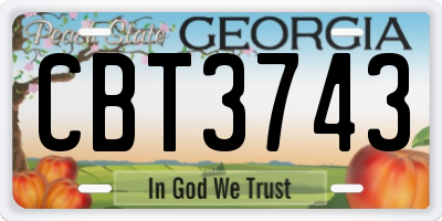 GA license plate CBT3743