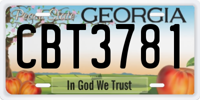 GA license plate CBT3781