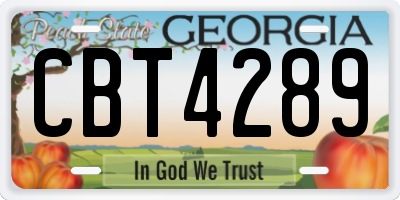 GA license plate CBT4289
