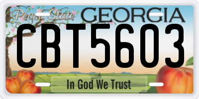 GA license plate CBT5603