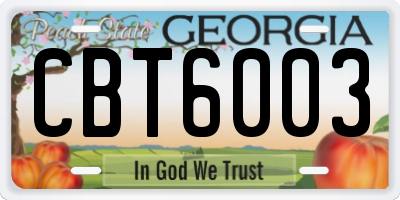 GA license plate CBT6003