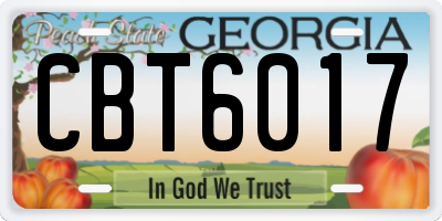 GA license plate CBT6017