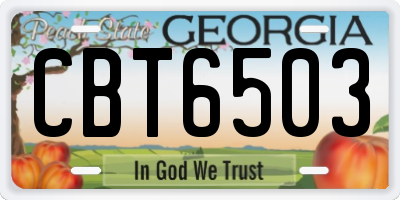 GA license plate CBT6503