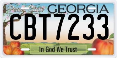 GA license plate CBT7233