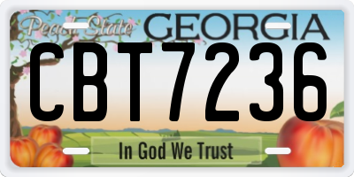 GA license plate CBT7236