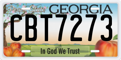 GA license plate CBT7273