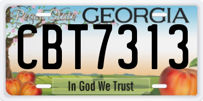 GA license plate CBT7313