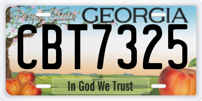 GA license plate CBT7325