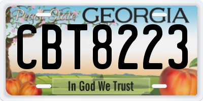 GA license plate CBT8223