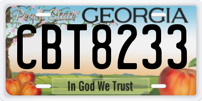 GA license plate CBT8233