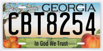 GA license plate CBT8254