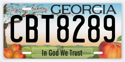 GA license plate CBT8289