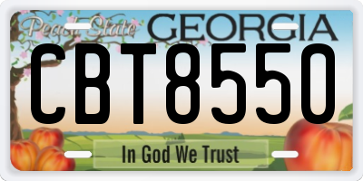 GA license plate CBT8550