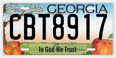 GA license plate CBT8917
