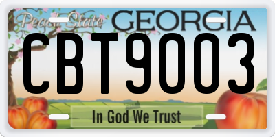 GA license plate CBT9003