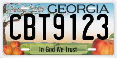 GA license plate CBT9123