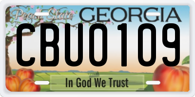 GA license plate CBU0109