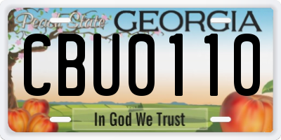 GA license plate CBU0110