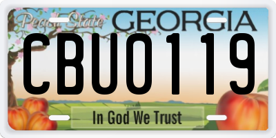 GA license plate CBU0119