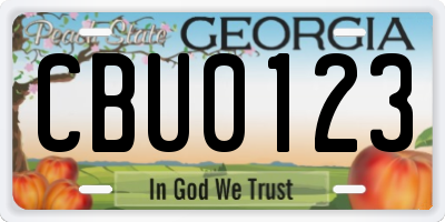 GA license plate CBU0123
