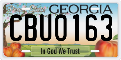 GA license plate CBU0163
