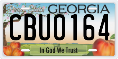 GA license plate CBU0164