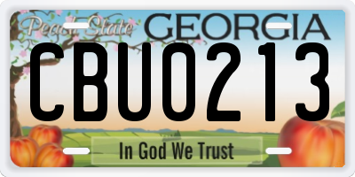 GA license plate CBU0213