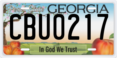 GA license plate CBU0217