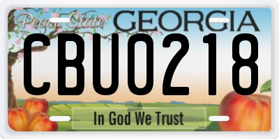 GA license plate CBU0218
