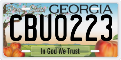 GA license plate CBU0223