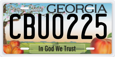 GA license plate CBU0225