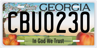 GA license plate CBU0230