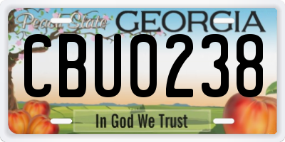 GA license plate CBU0238