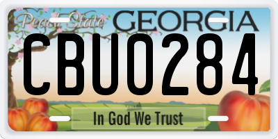 GA license plate CBU0284