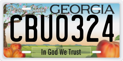 GA license plate CBU0324