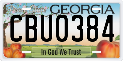 GA license plate CBU0384