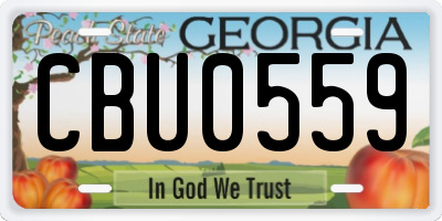 GA license plate CBU0559