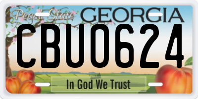 GA license plate CBU0624