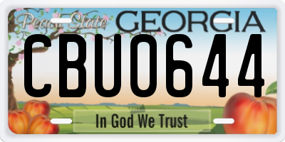 GA license plate CBU0644