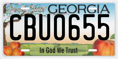 GA license plate CBU0655