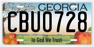 GA license plate CBU0728