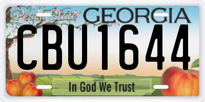 GA license plate CBU1644