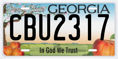 GA license plate CBU2317