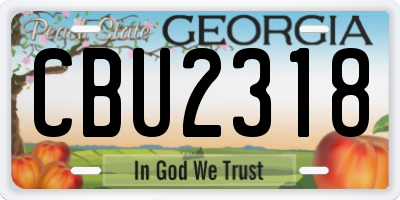 GA license plate CBU2318